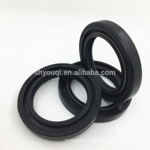 NBR/FKM Rubber Motorcycle Spare Parts Oil Seals Auto Engine TC Gearbox Skeleton Oil Seal